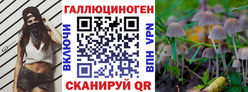 цена   Надым  Псилоцибиновые грибы Psilocybine cubensis 